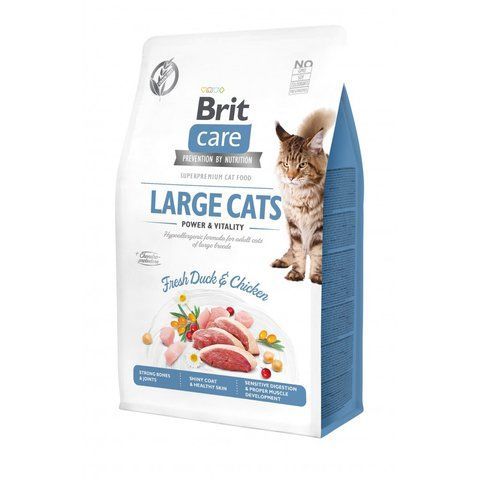 Корм сухий Brit Care Cat Grain Free Large Power Vitality для дорослих котів великих порід з качкою та куркою 400 г S171311/0921 фото