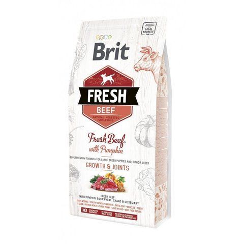 Корм сухий Brit Fresh Beef/Pumpkin Puppy Large для цуценят та молодих собак великих порід з яловичиною та гарбузом 2,5 кг S170992 /0762 фото